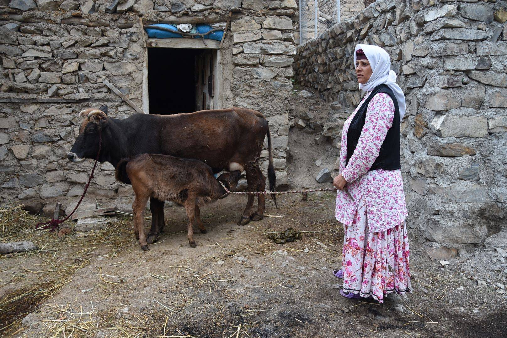L'Iran dans le coeur