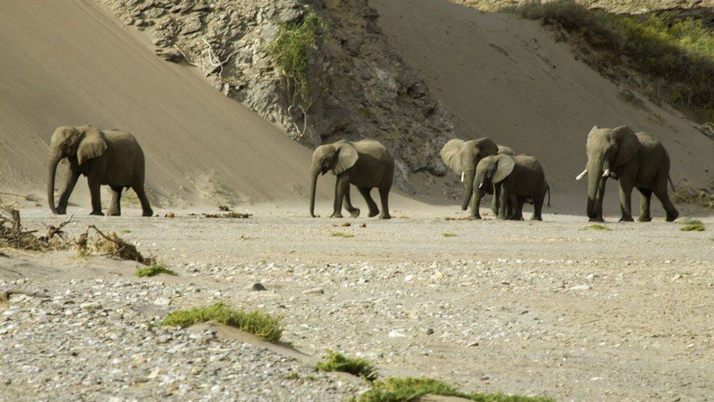 Voyage Damaraland