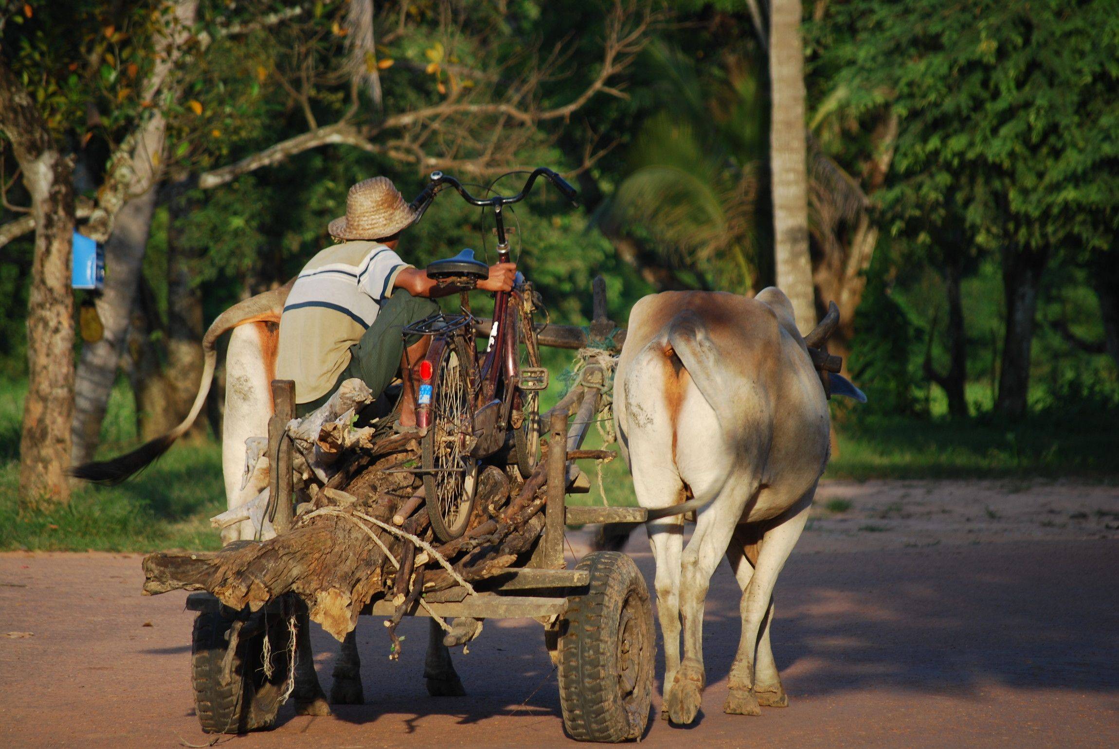 Images du Cambodge