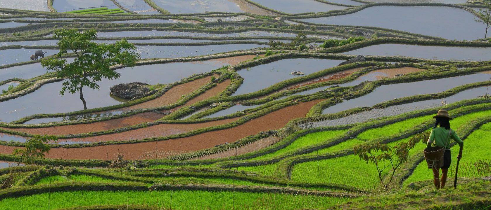 Séjour Chine