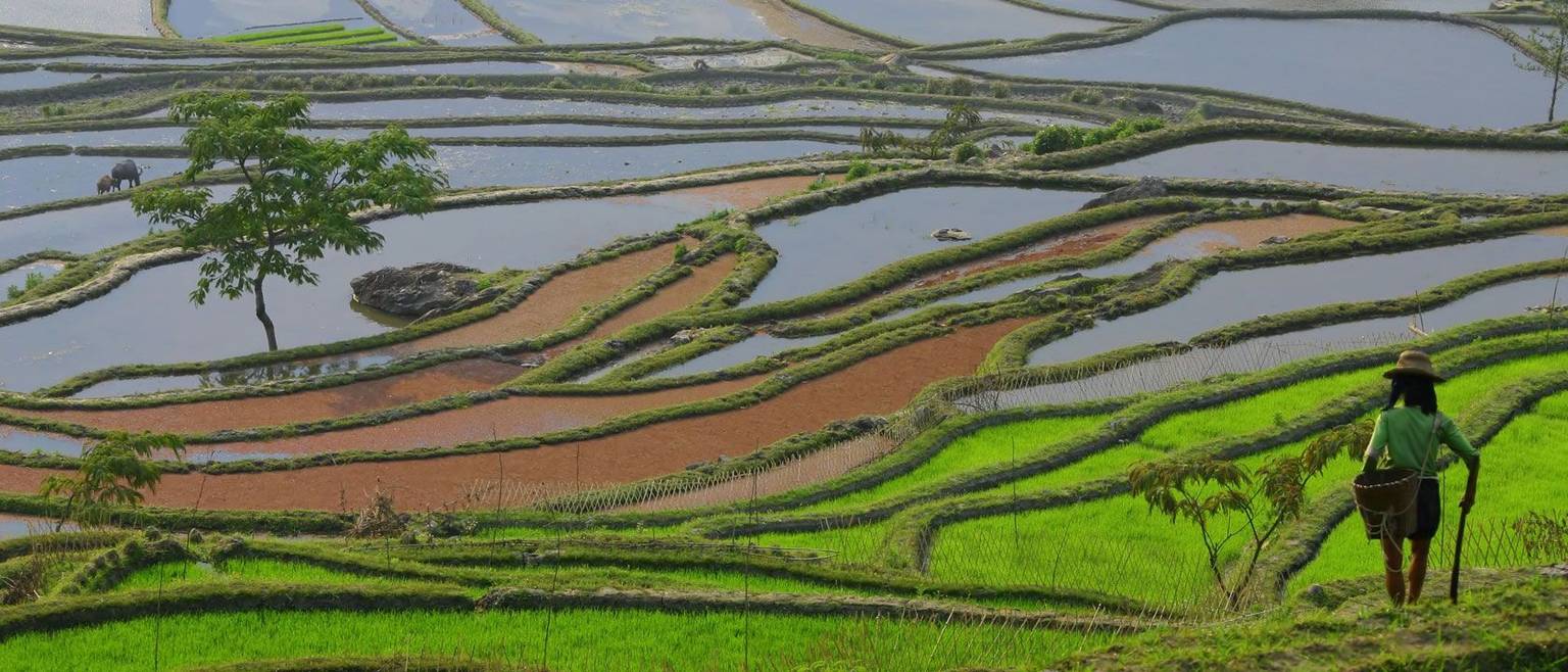 Séjour Chine