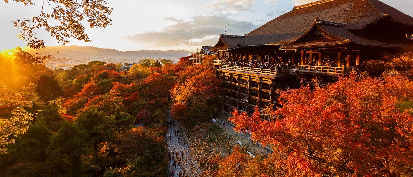 Séjour Japon
