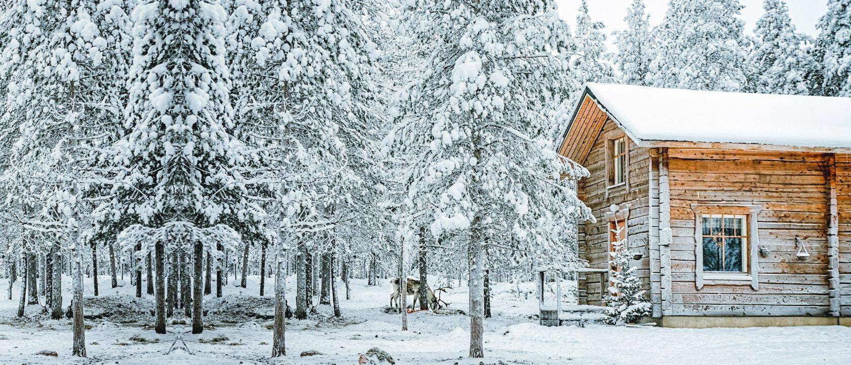 Séjour Finlande