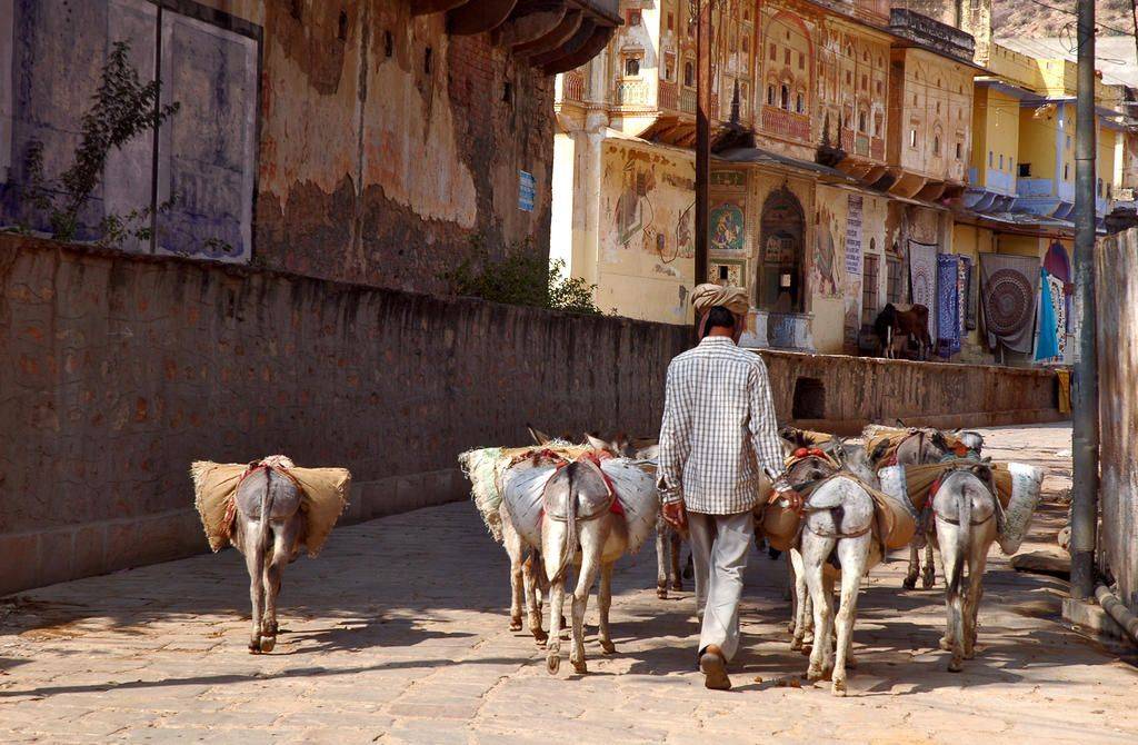 Rajasthan et vallée du Gange (4 décembre)
