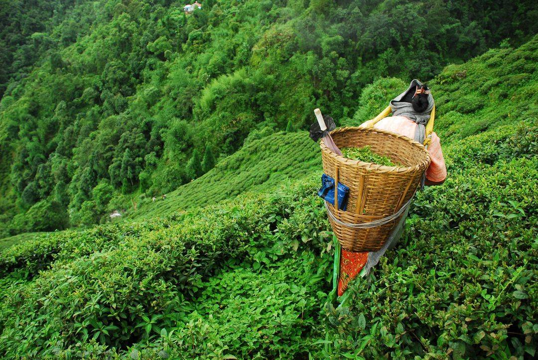 Un autre Sri Lanka