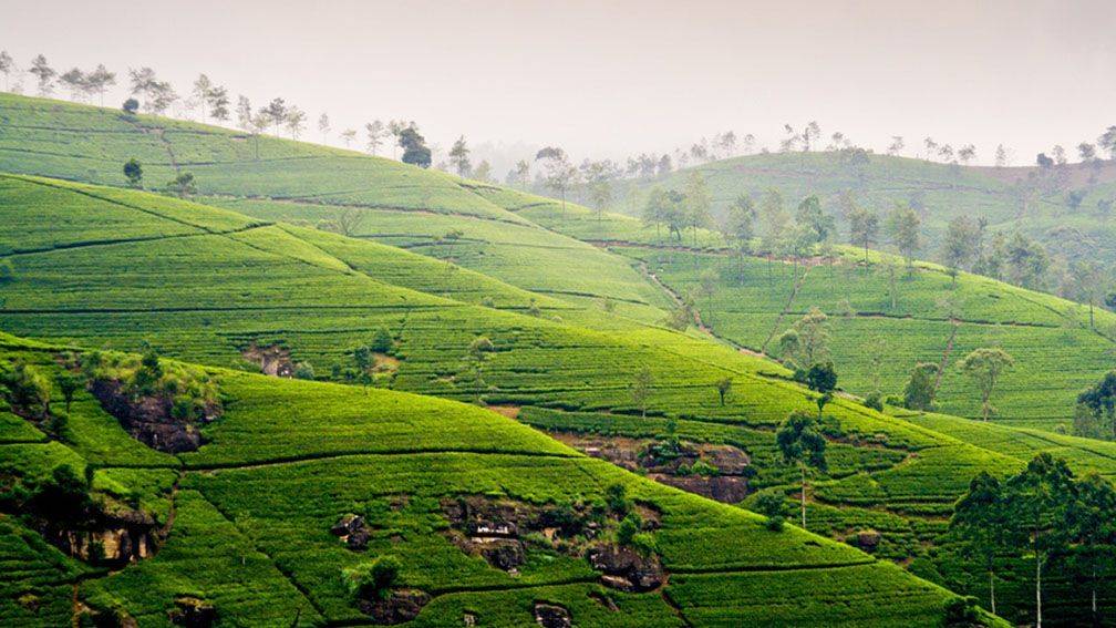 Voyage Kandy