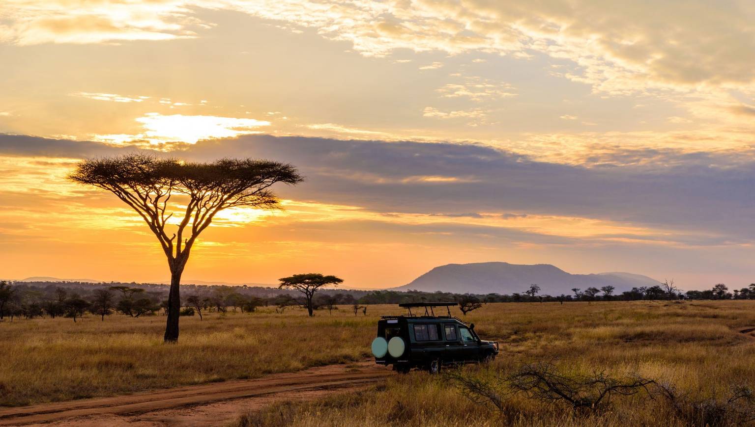 Guide de voyage Kenya : que voir, que faire ?