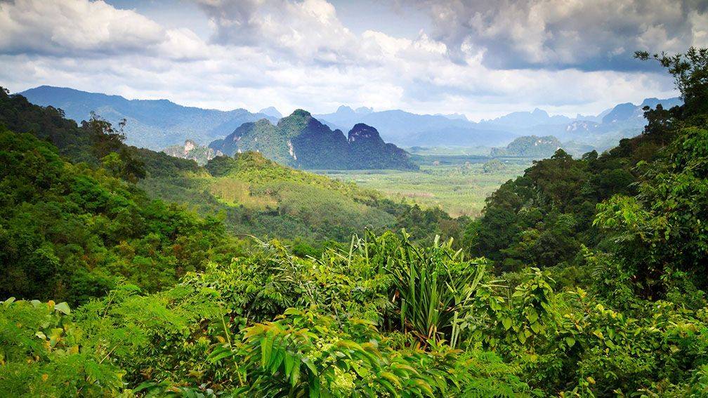 Voyage Khao Sok