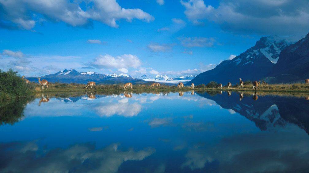 Voyage Parc national Torres del Paine