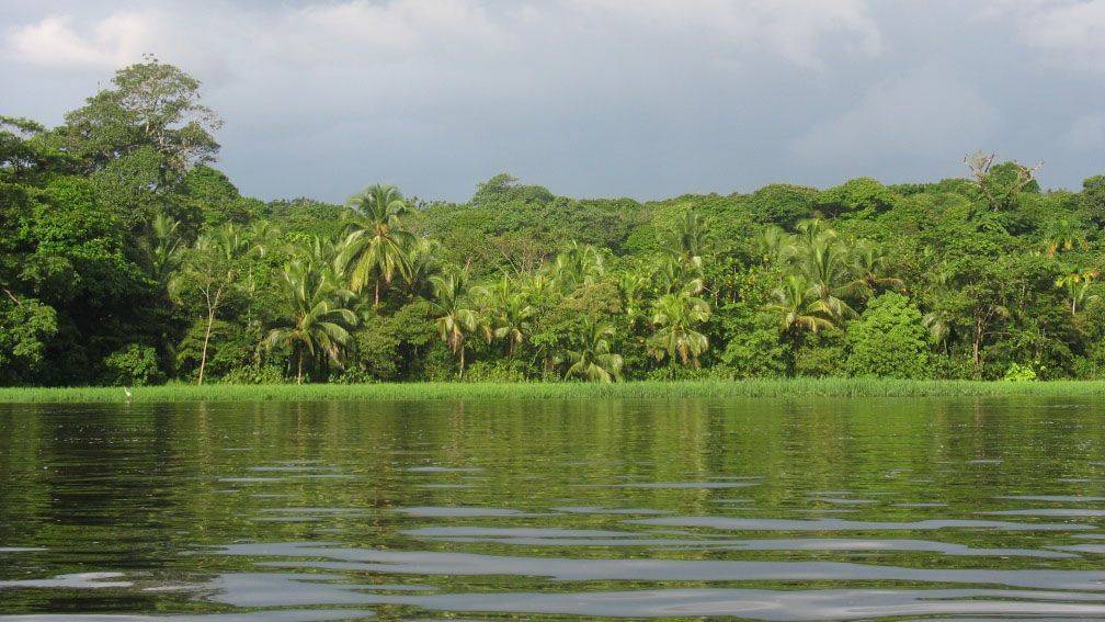 Voyage Tortuguero