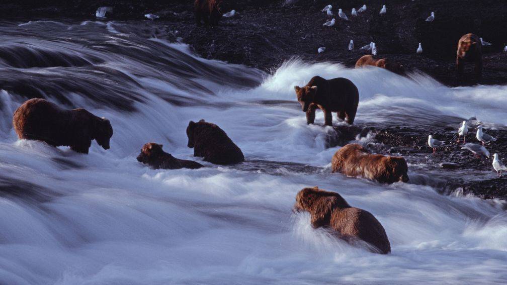 Hors des sentiers battus Alaska