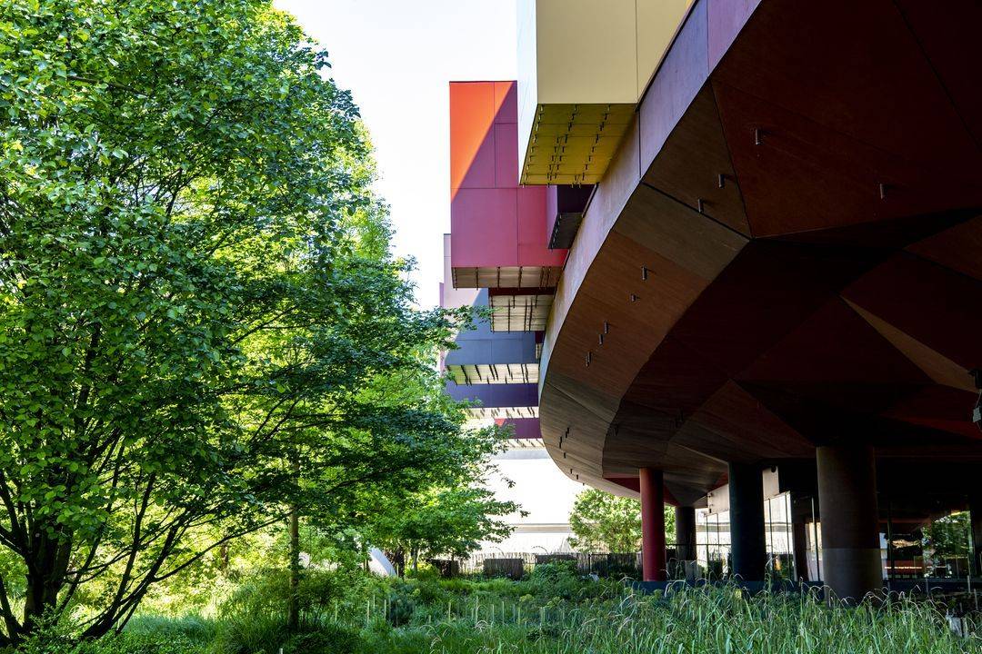 Les Olmèques et les cultures du Golfe du Mexique