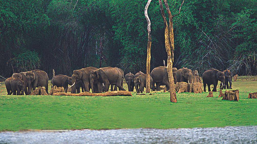 Voyage Chitwan