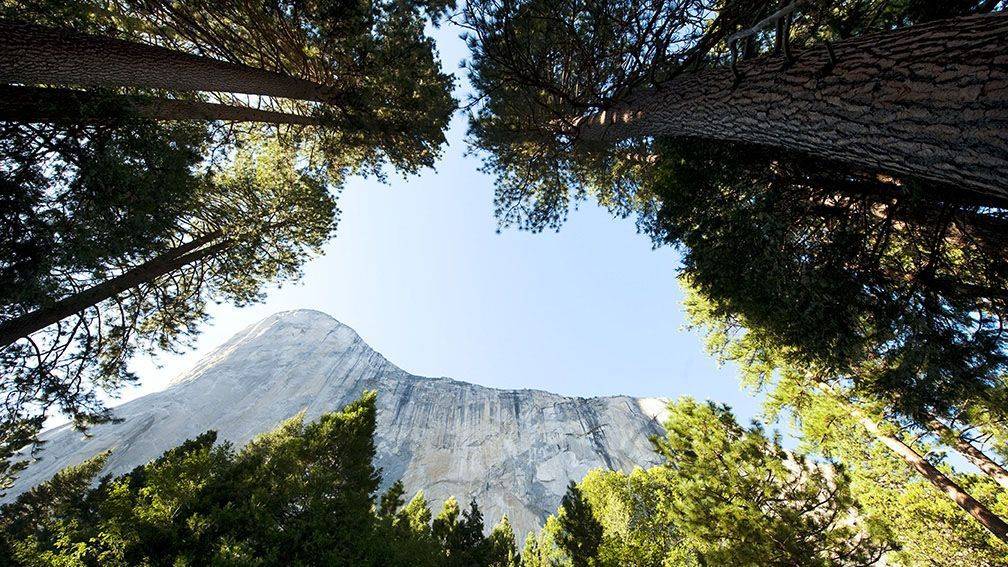 Voyage Yosemite