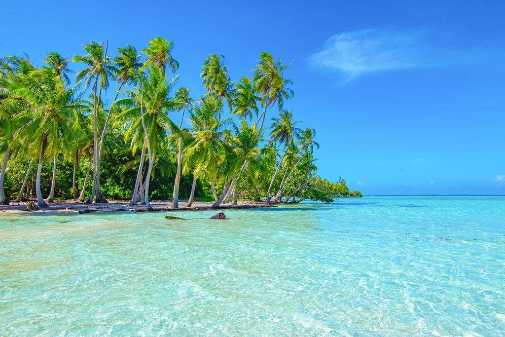 Éloge de la culture polynésienne + Moorea en pilotis-Image