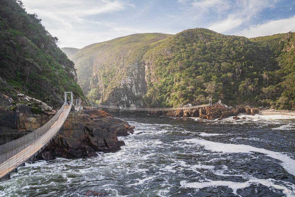 Afrique du Sud : incomparable Garden route-Image
