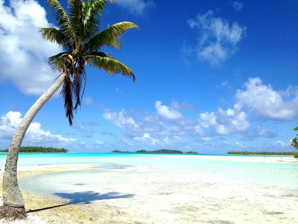Polynésie : Échappée belle aux Tuamotu-Image