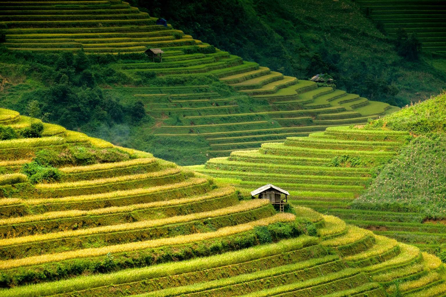 Paysages spectaculaires du Nord Vietnam-Image