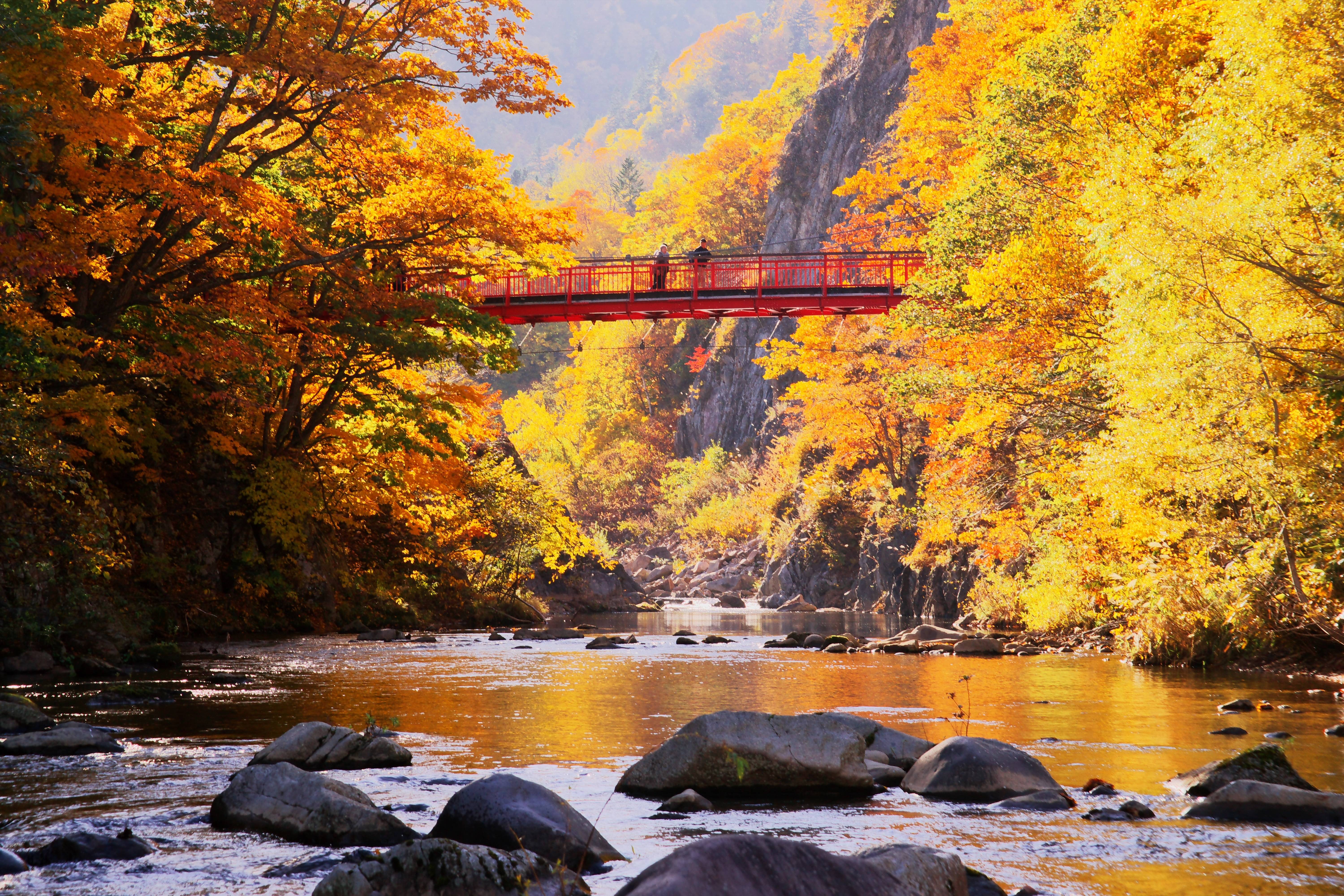 Japon confidentiel, de Hokkaido au Tohoku-Image