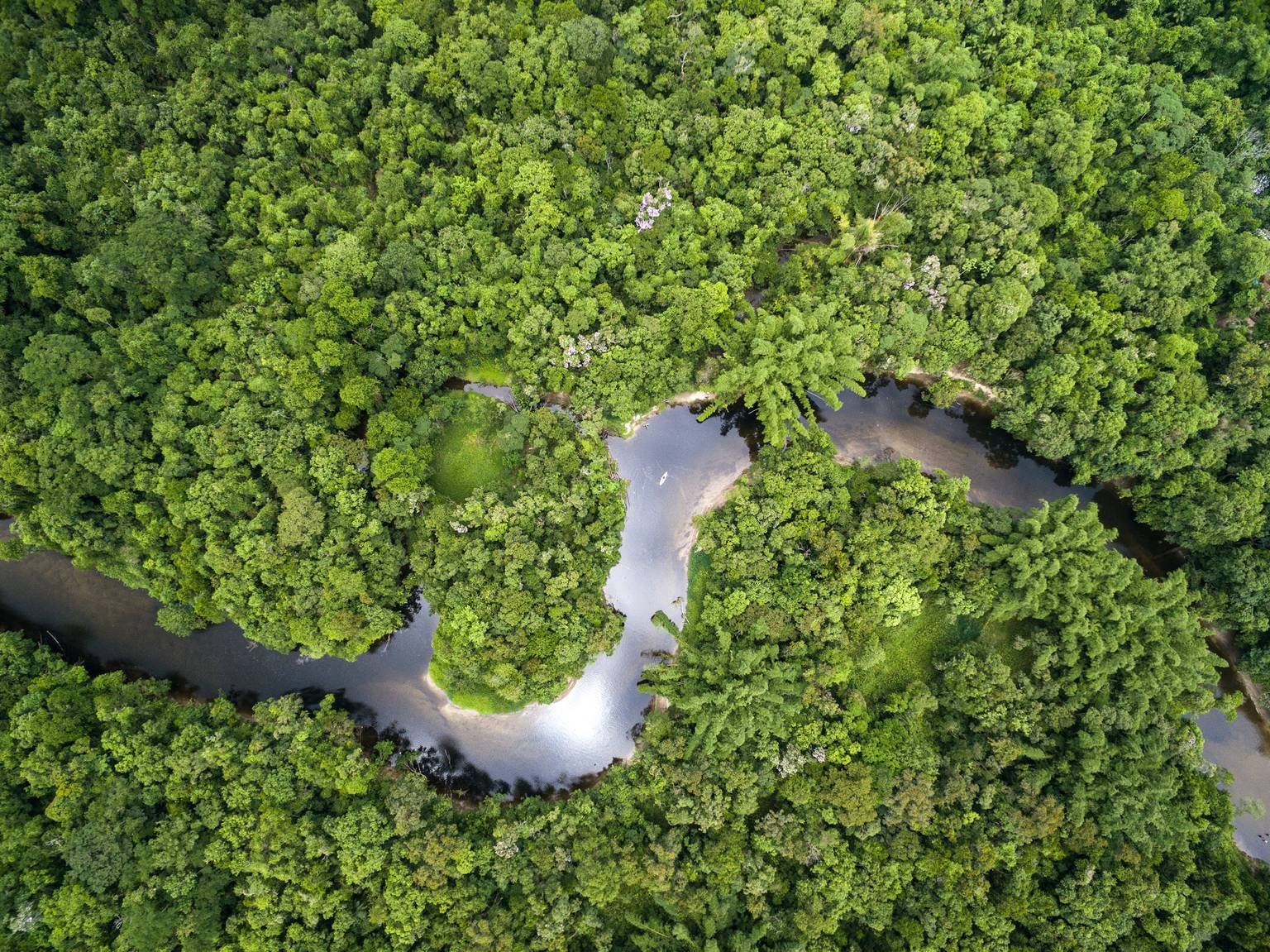 Tout le Brésil + extension Amazonie-Image