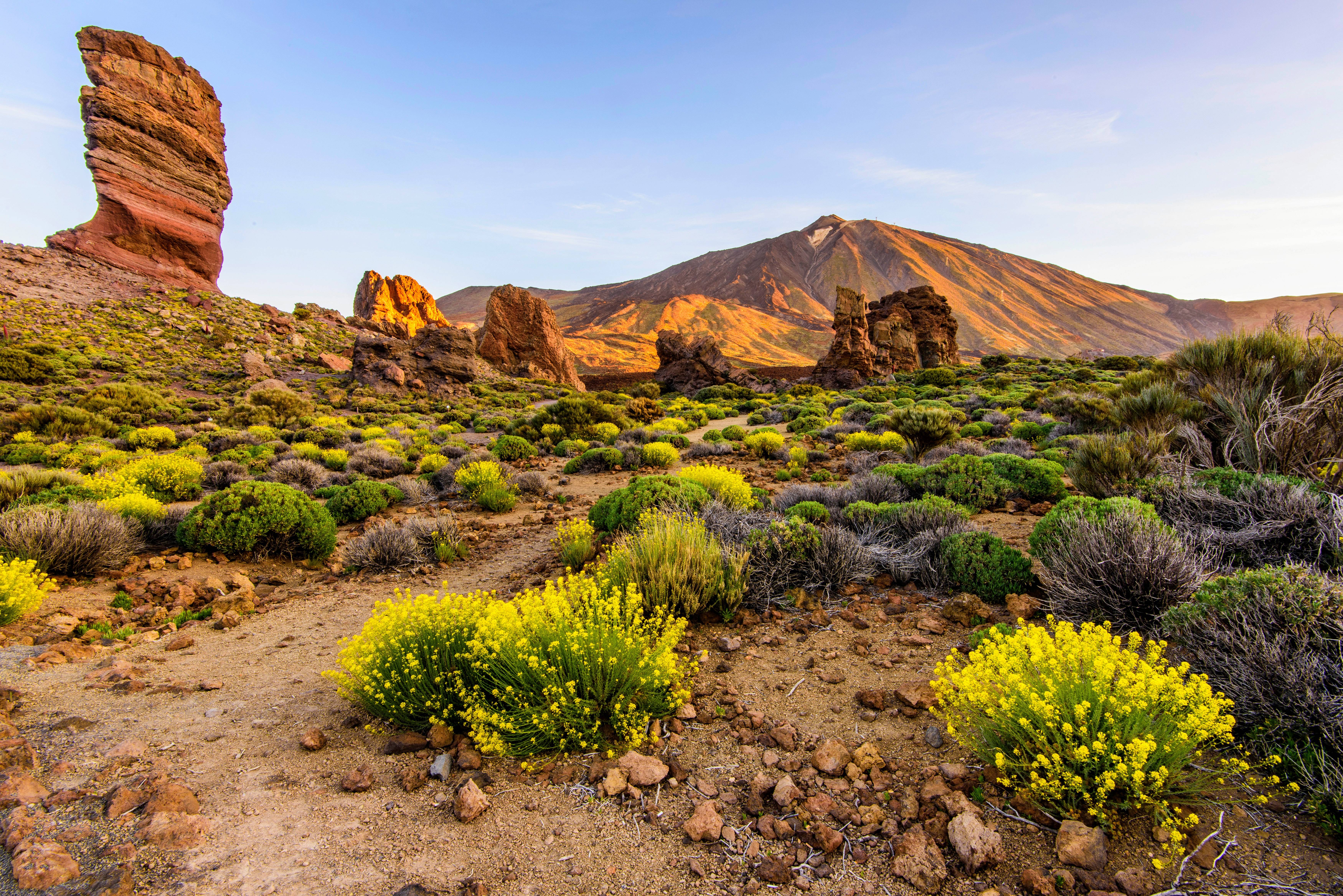Sésame pour Tenerife-Image