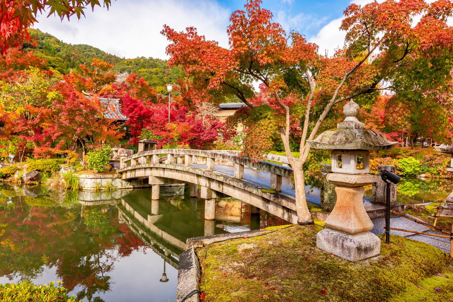Jardins japonais, l'art d'une nature sublimée-Image