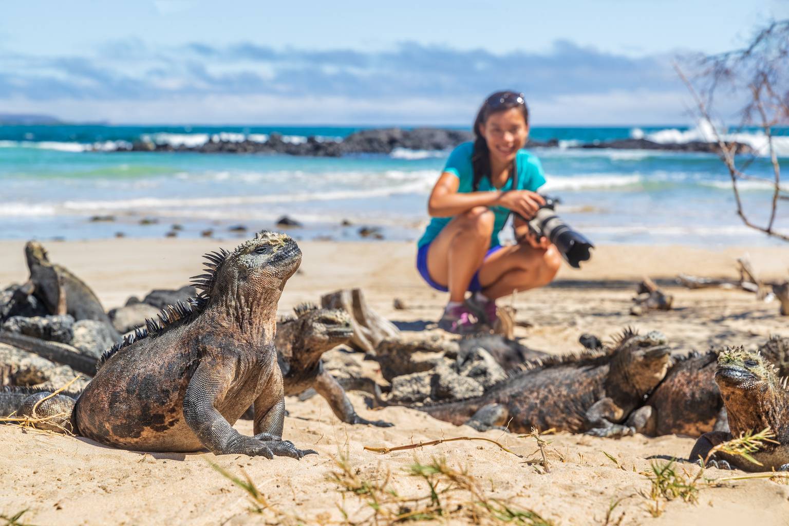 Dans le sillage de Darwin aux Galapagos-Image