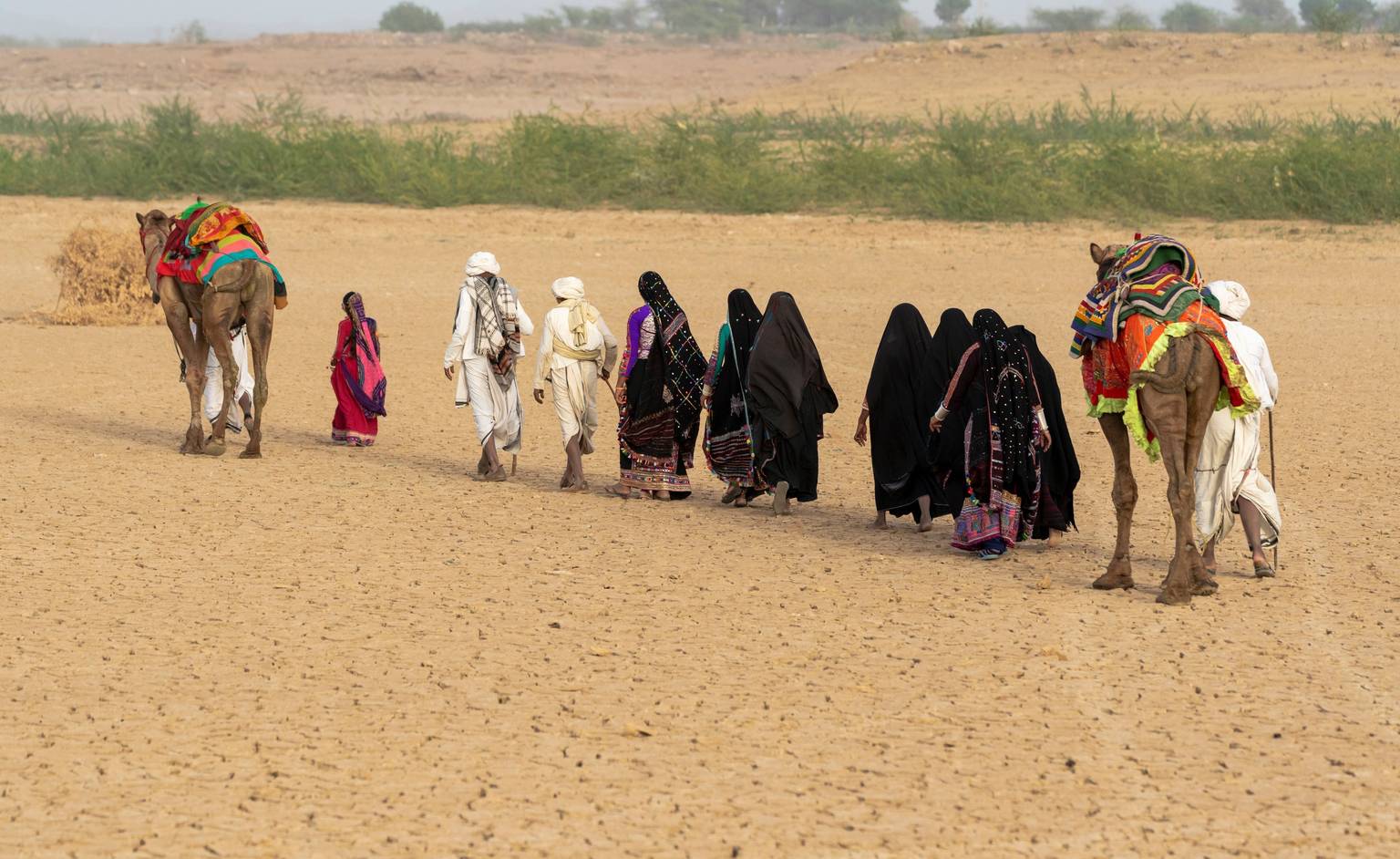Gujarat, de sanctuaires en villages-Image