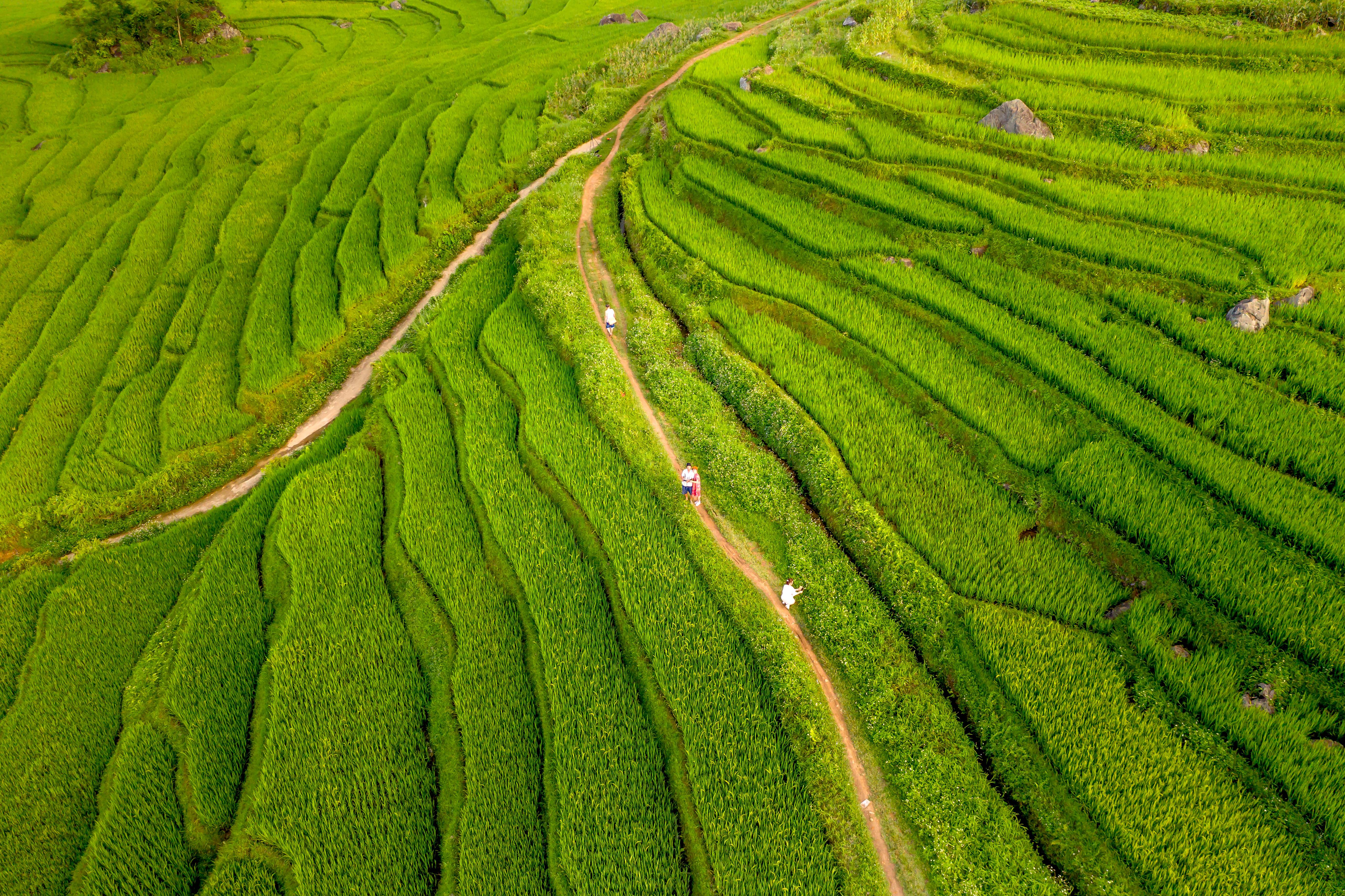 Vietnam, au fil des rizières et de l'eau-Image