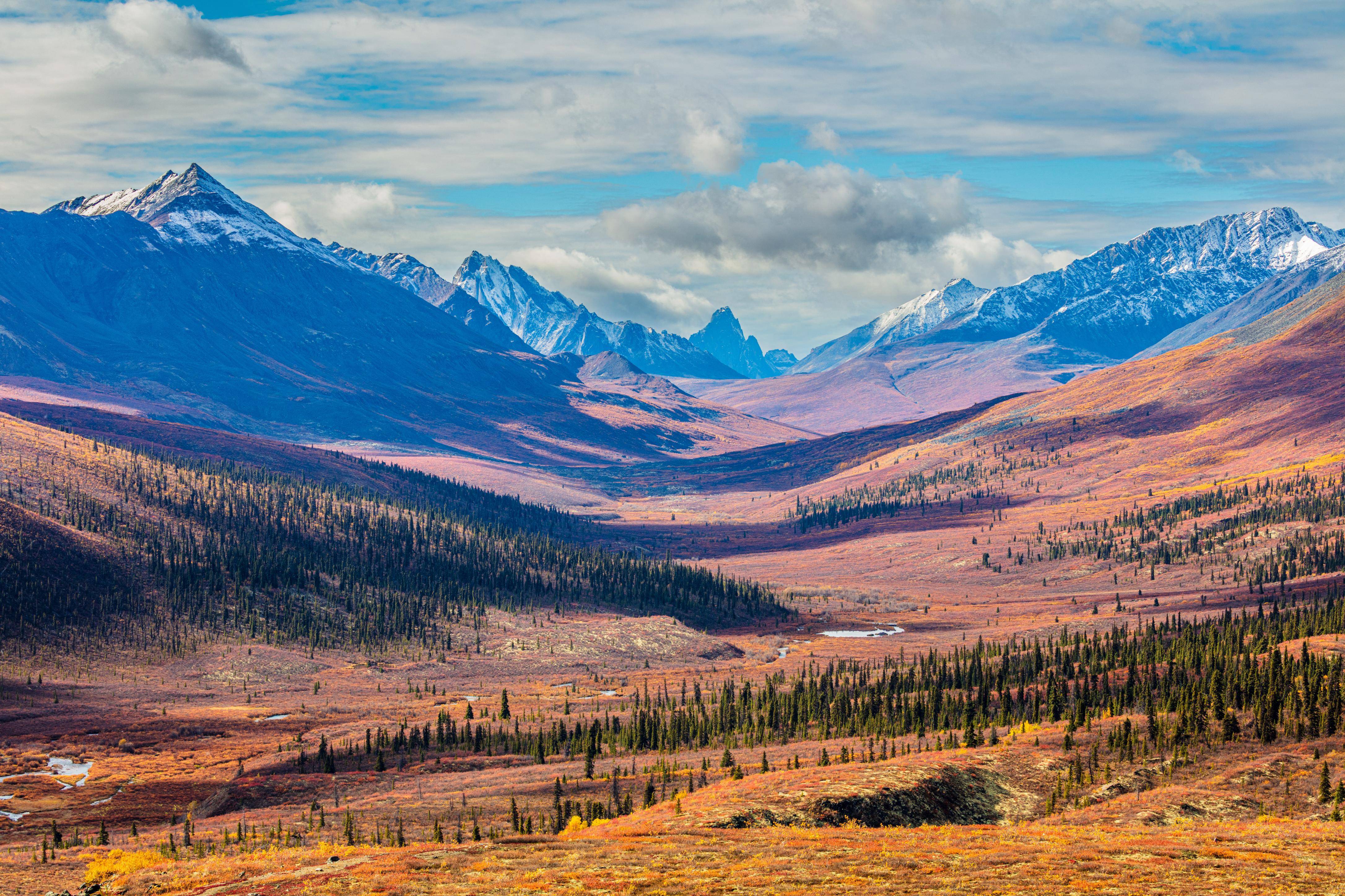 Yukon, à la conquête du nord-ouest canadien -Image