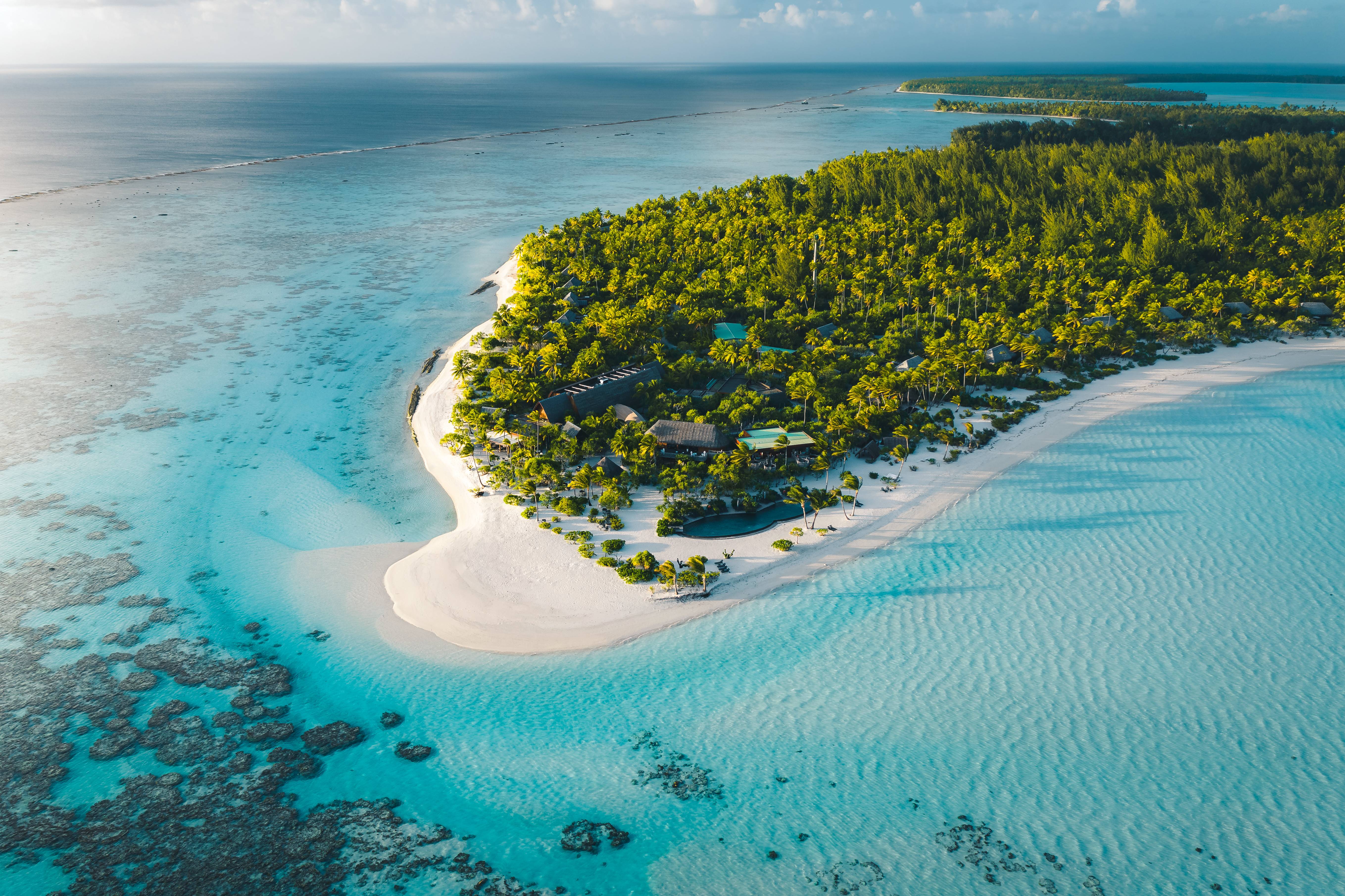 Quintessence polynésienne : catamaran privé et Brando-Image