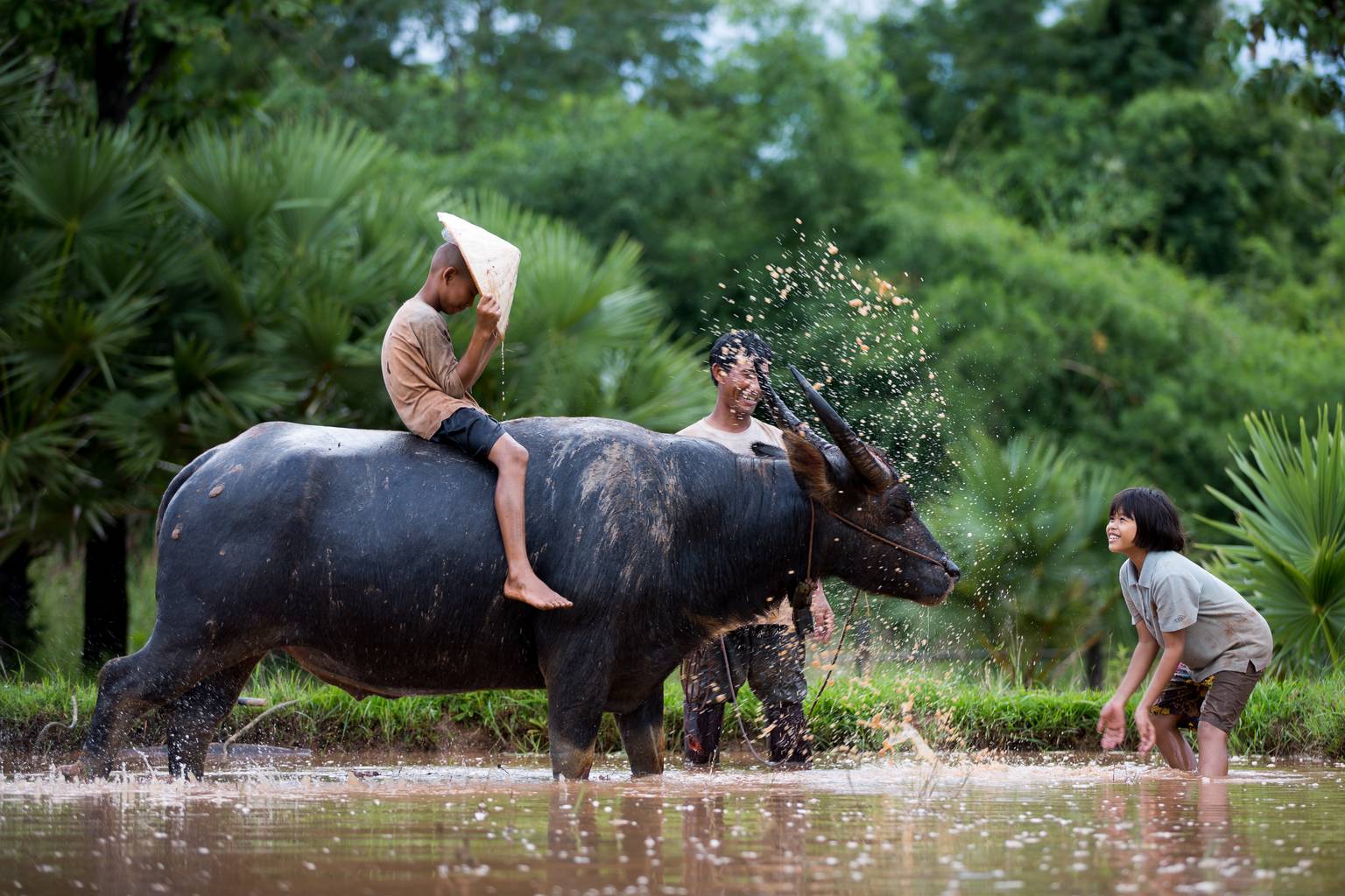 Balade au Vietnam en famille-Image