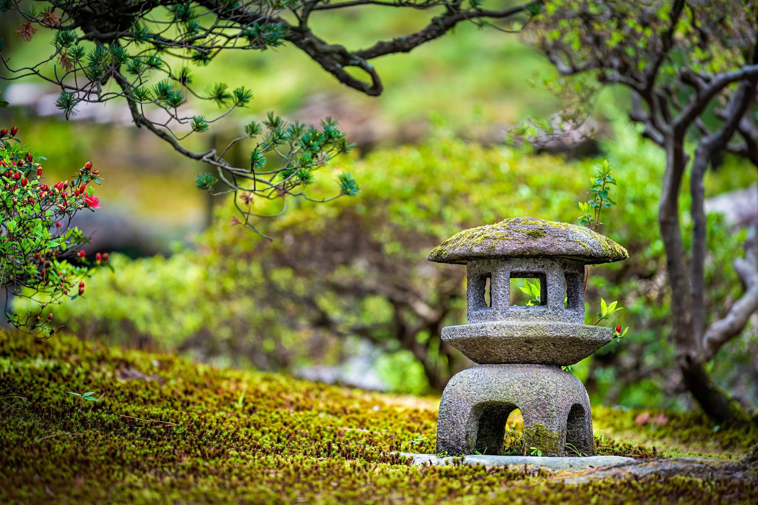 Jardins japonais, l'art d'une nature sublimée-Image