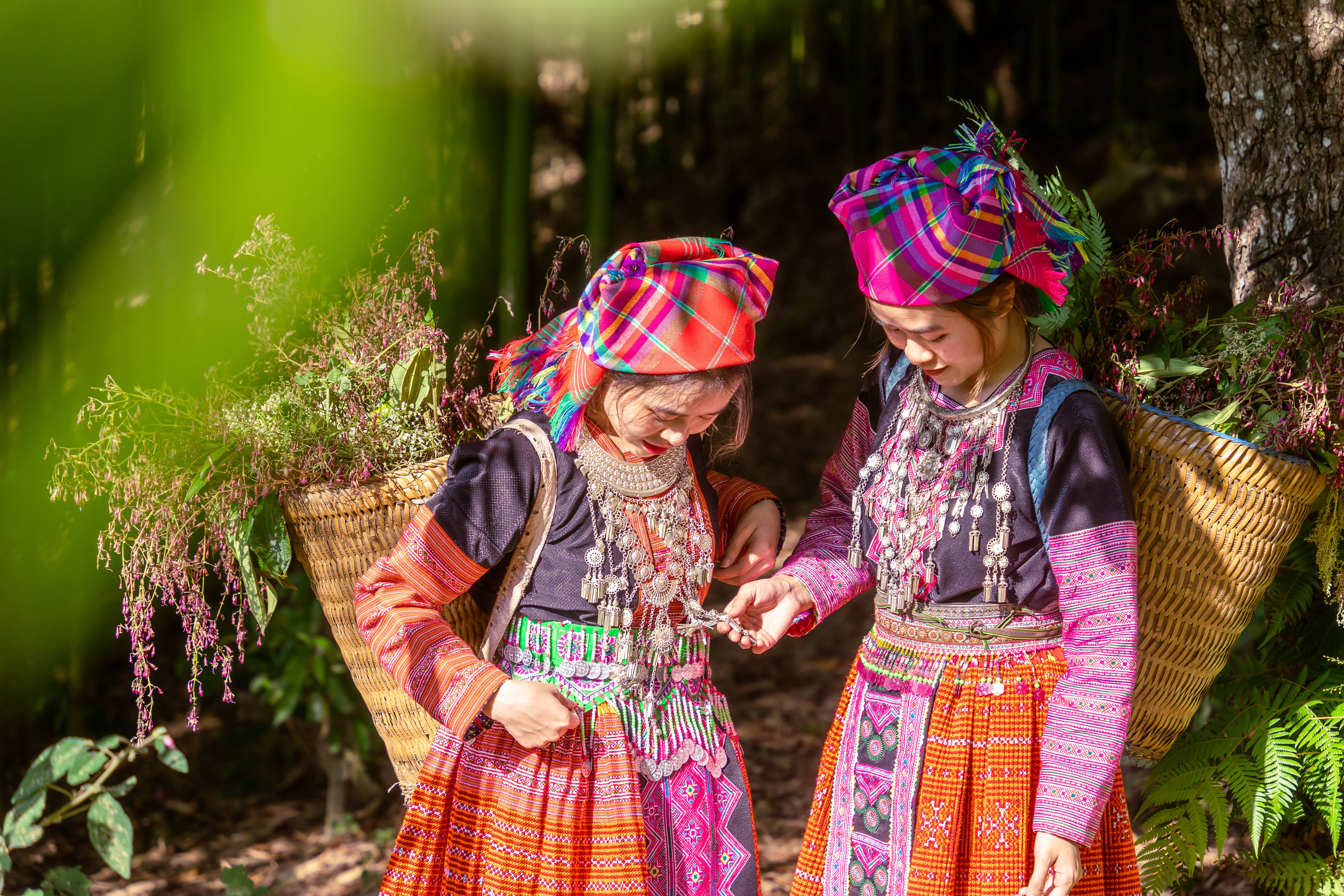 Tout le Vietnam-Image