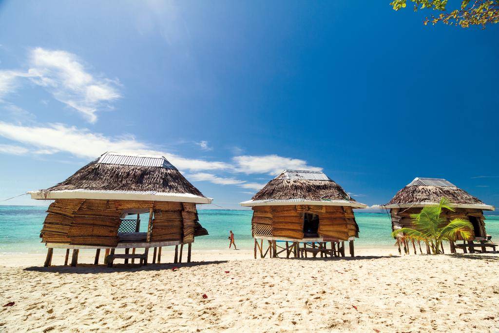 Les Samoa à sa guise-Image