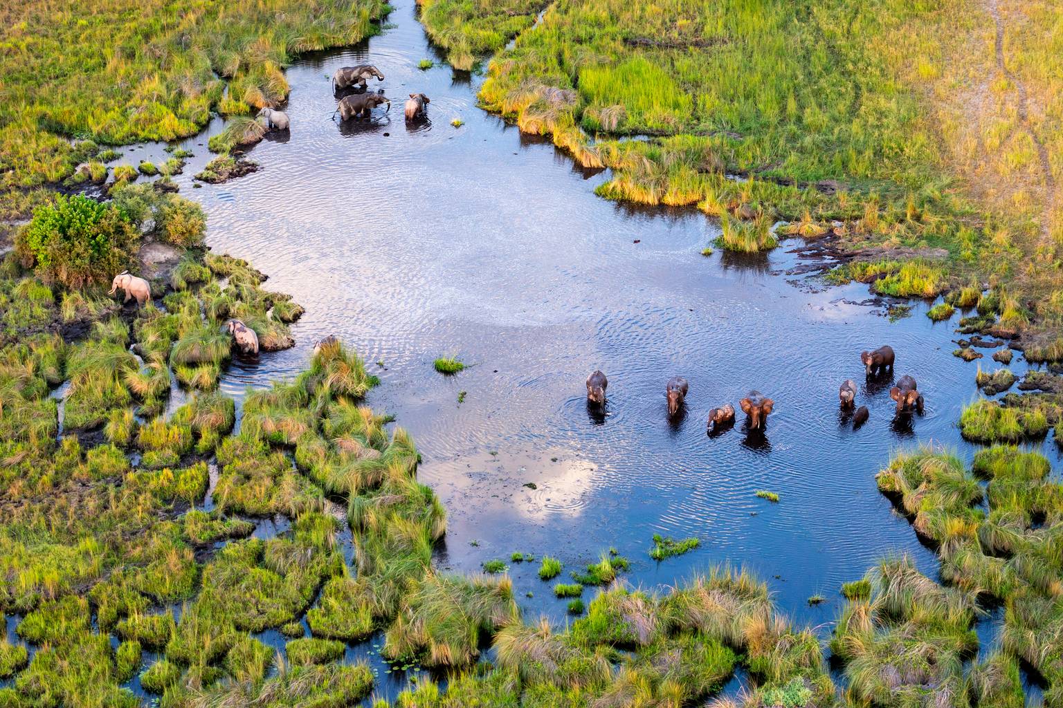Botswana, paradis pour la vie sauvage-Image