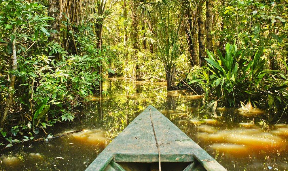La trilogie andine + Amazonie-Image