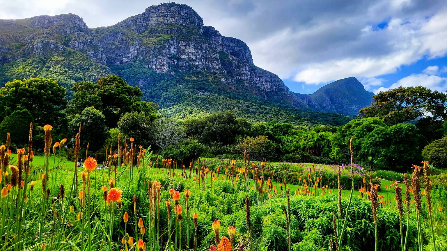 Jardins secrets d'Afrique du Sud-Image