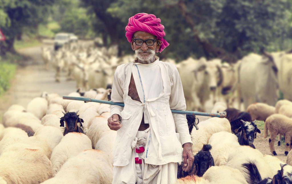 Le Rajasthan en famille-Image