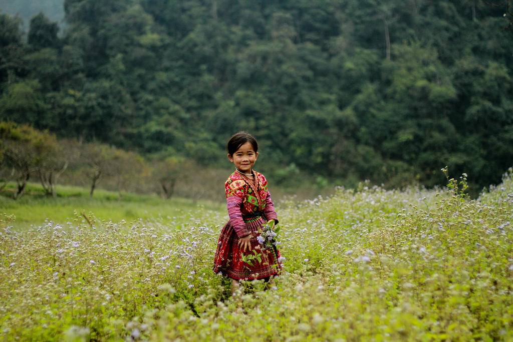 Traversée du Vietnam + prologue Haut-Tonkin-Image